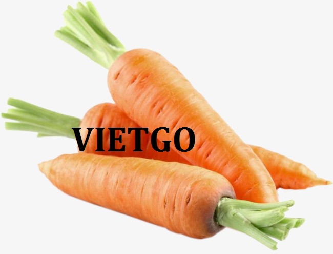 VIETGO-xuat-khau-carrot-Malaysia-Alec
