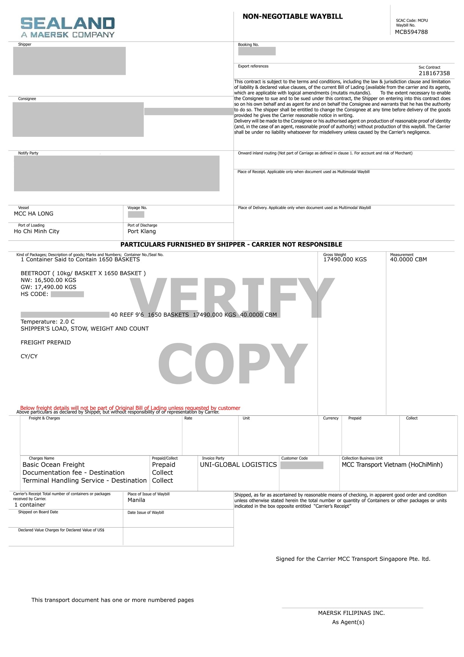 VIETGO-xuat-khau-carrot-Malaysia-Alec VIETGO-xuat-khau-carrot-Malaysia-Alec