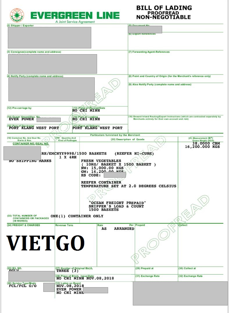 VIETGO-xuat-khau-carrot-Malaysia-Alec VIETGO-xuat-khau-carrot-Malaysia-Alec