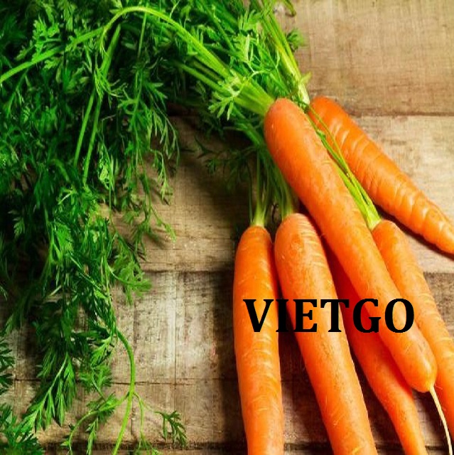 VIETGO-xuat-khau-carrot-Nhật