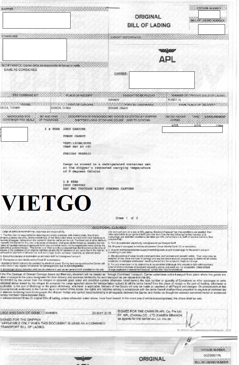 VIETGO-xuat-khau-carrot-Oman