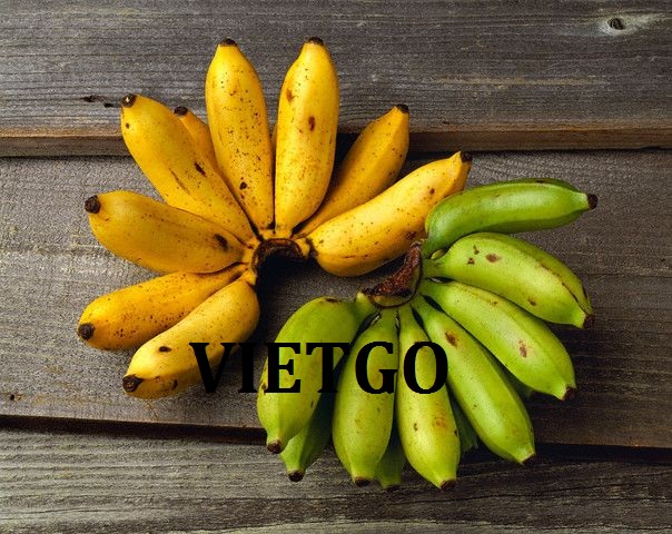 VIETGO-xuat-khau-chuoi-Han-Quoc-Cristal VIETGO-xuat-khau-chuoi-Han-Quoc-Cristal