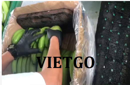 VIETGO-xuat-khau-chuoi-Han-Quoc-Cristal VIETGO-xuat-khau-chuoi-Han-Quoc-Cristal