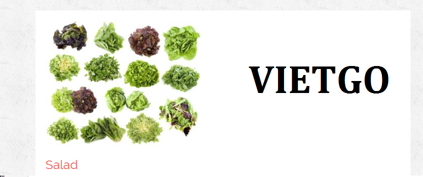 VIETGO-xuat-khau-chuoi-Hy-Lap-Kiril