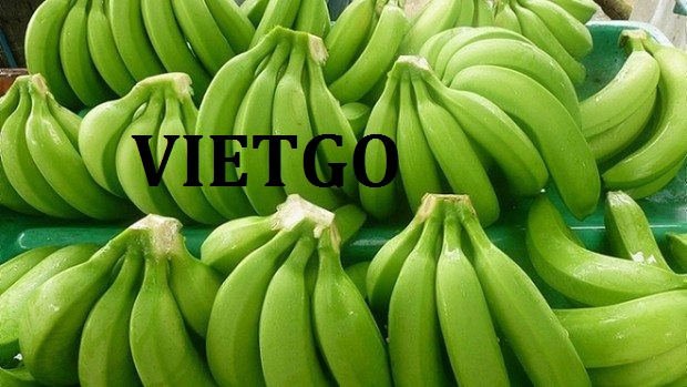 VIETGO-xuat-khau-chuoi-tieu-xanh-Trung-Quoc-Peter