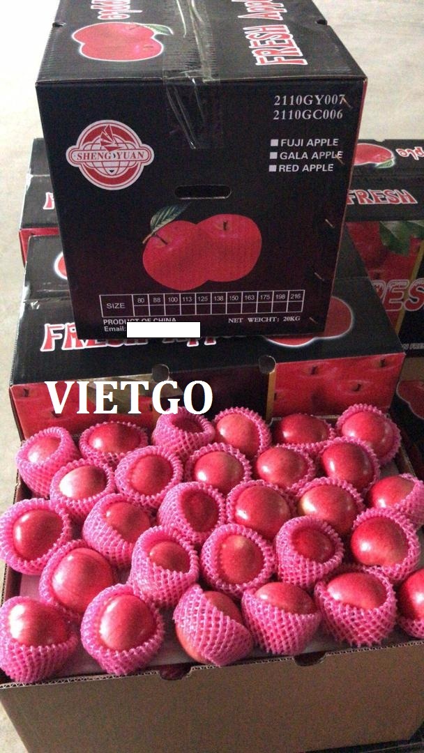 VIETGO-xuat-khau-chuoi-tieu-xanh-Trung-Quoc-Peter