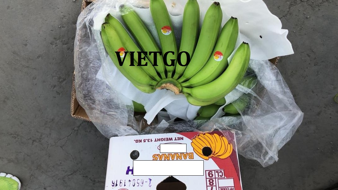 VIETGO-xuat-khau-chuoi-tieu-xanh-Trung-Quoc-Peter