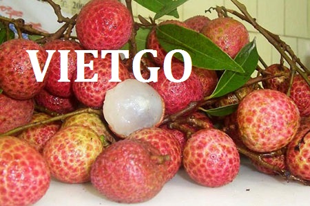 VIETGO-xuat-khau-các-loại-trái-cay-Ashraf VIETGO-xuat-khau-các-loại-trái-cay-Ashraf