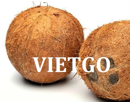 VIETGO-xuat-khau-dừa-Thổ-Nhĩ-Kỳ-Bora