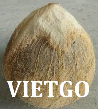 VIETGO-xuat-khau-dừa-Thổ-Nhĩ-Kỳ-Bora