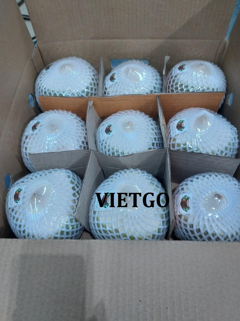 VIETGO-xuat-khau-dừa-khach-hang-Ai-Cap