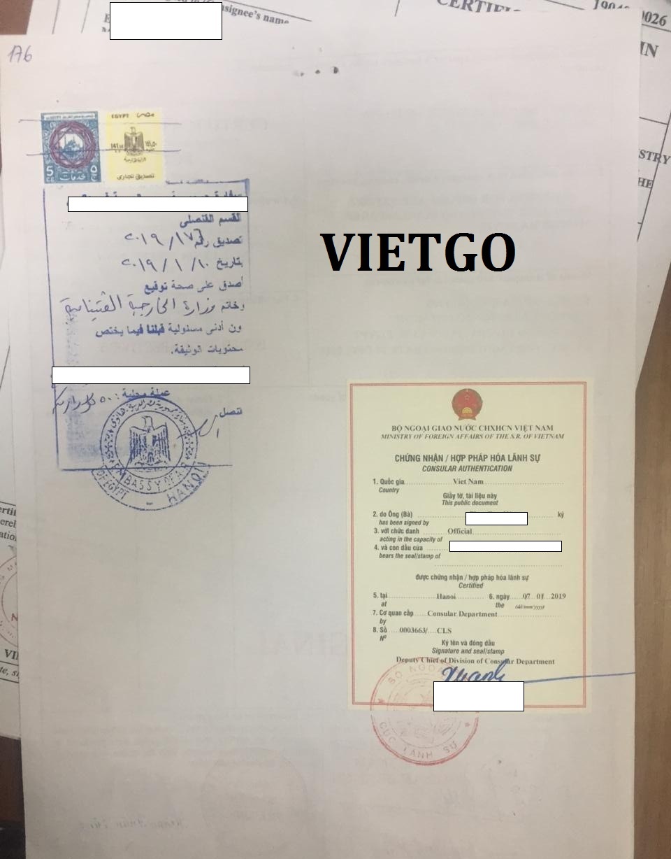VIETGO-xuat-khau-dừa-khach-hang-Ai-Cap