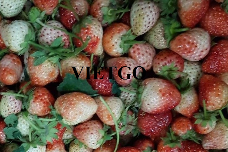 VIETGO-xuat-khau-dau-tay-Remy