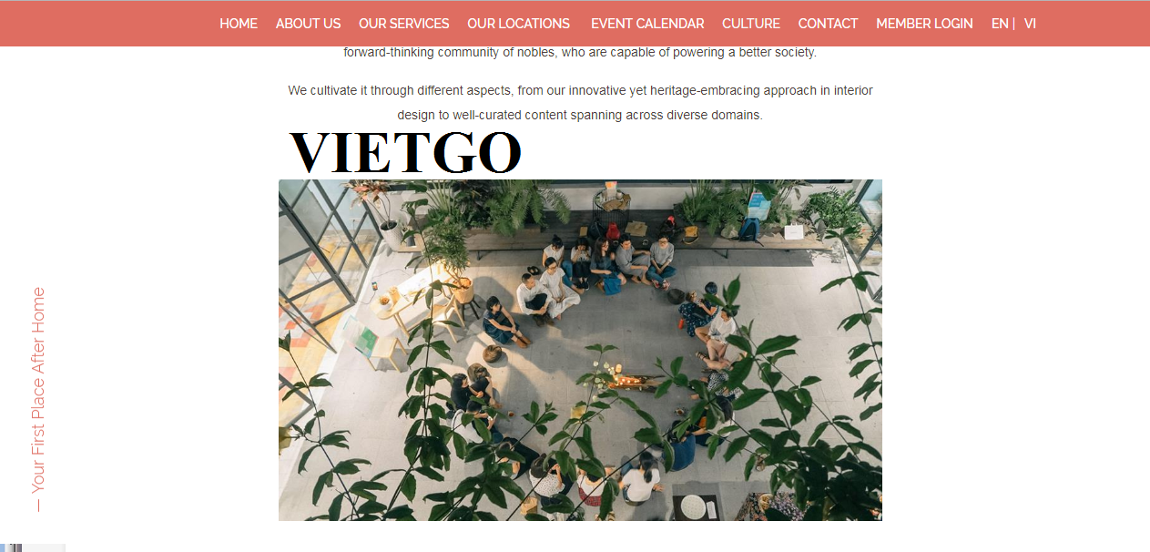 VIETGO-xuat-khau-dau-tay-Remy