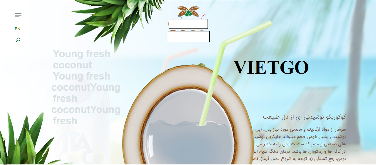 VIETGO-xuat-khau-dứa-Arash-Iran