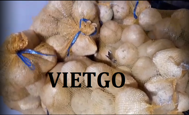 VIETGO-xuat-khau-dừa-khach-hang-Ai-Cap