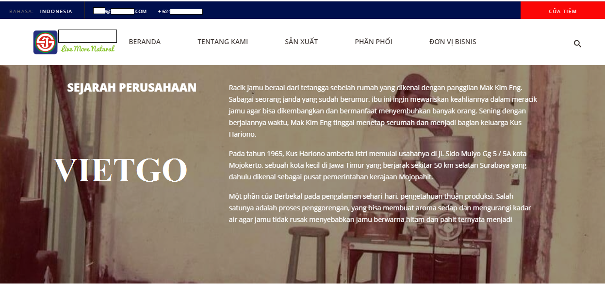 VIETGO-xuat-khau-gưng-Indonesia VIETGO-xuat-khau-gưng-Indonesia