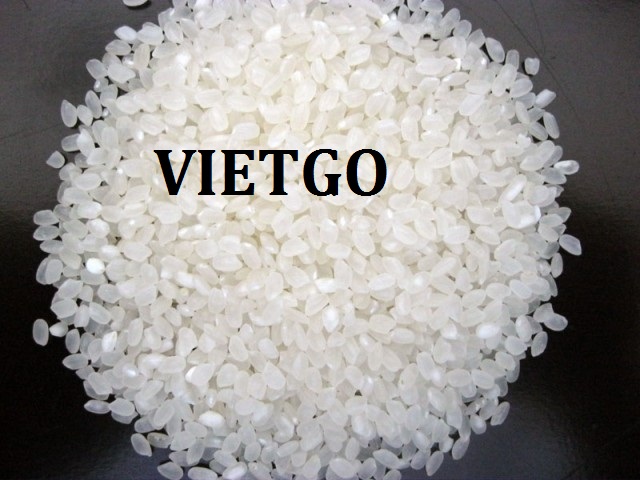 VIETGO-xuat-khau-gao-japonica-Libya-Sameer