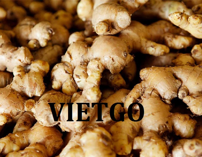 VIETGO-xuat-khau-gung-An-Do-Hassan VIETGO-xuat-khau-gung-An-Do-Hassan