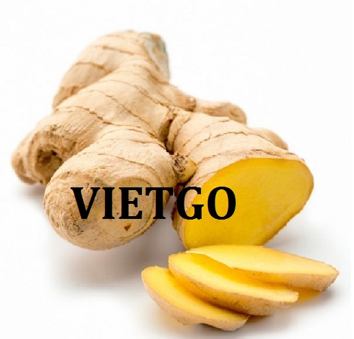VIETGO-xuat-khau-gung-Nam-Phi-Mpo