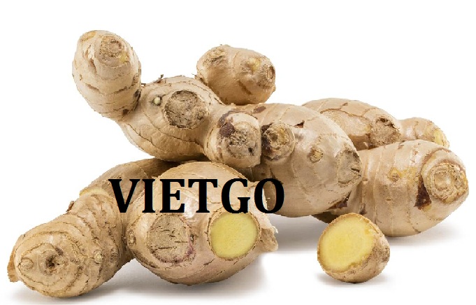 VIETGO-xuat-khau-gung-thi-truong-Bangladesh