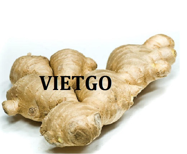 VIETGO-xuat-khau-gưng-Pakistan-Tayyab