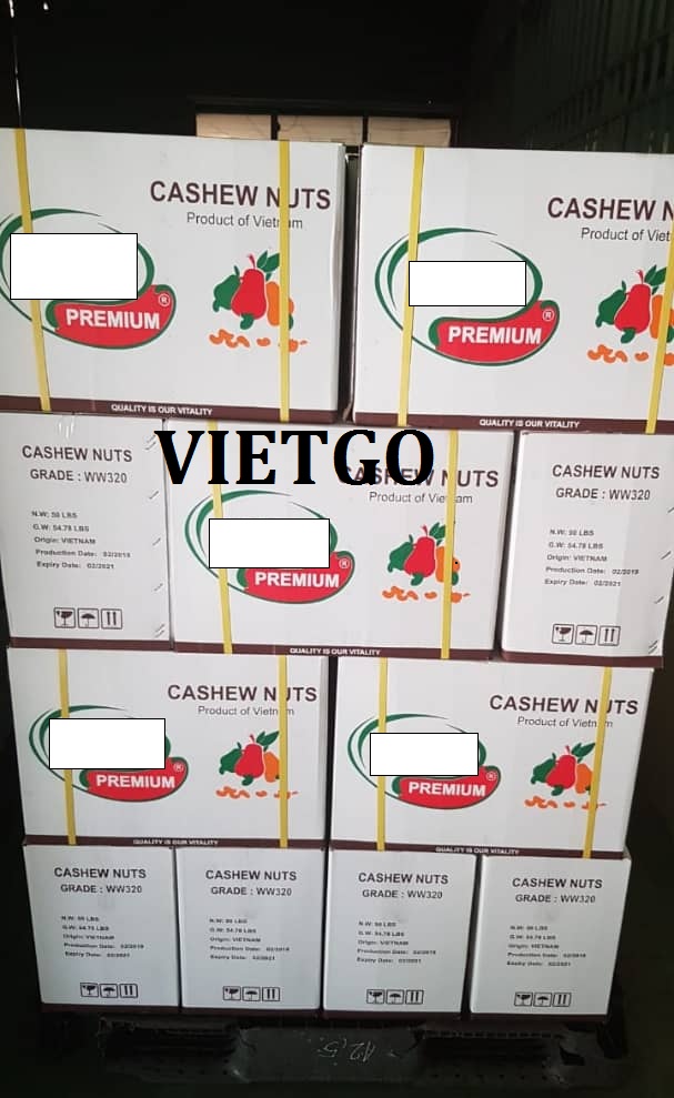 VIETGO-xuat-khau-hạt-điều-Kazakstan VIETGO-xuat-khau-hạt-điều-Kazakstan