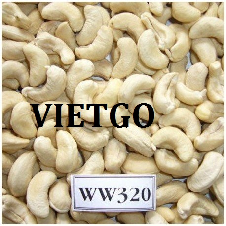 VIETGO-xuat-khau-hạt-dieu-An-Do-Ashwin