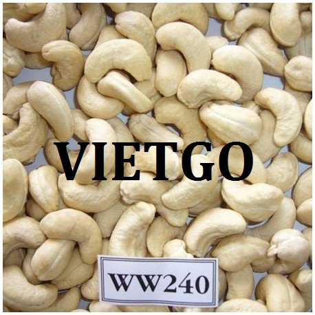 VIETGO-xuat-khau-hạt-dieu-An-Do-Ashwin