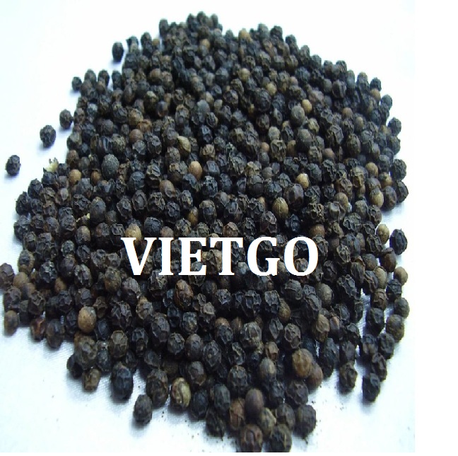 VIETGO-xuat-khau-hạt-tiêu-Sri-Lanka VIETGO-xuat-khau-hạt-tiêu-Sri-Lanka