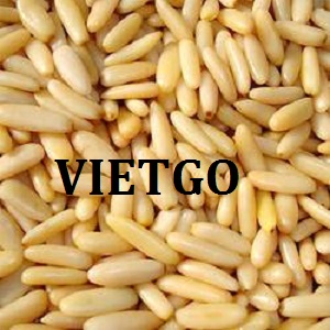 VIETGO-xuat-khau-hanh-Dubai-Mr Niaz