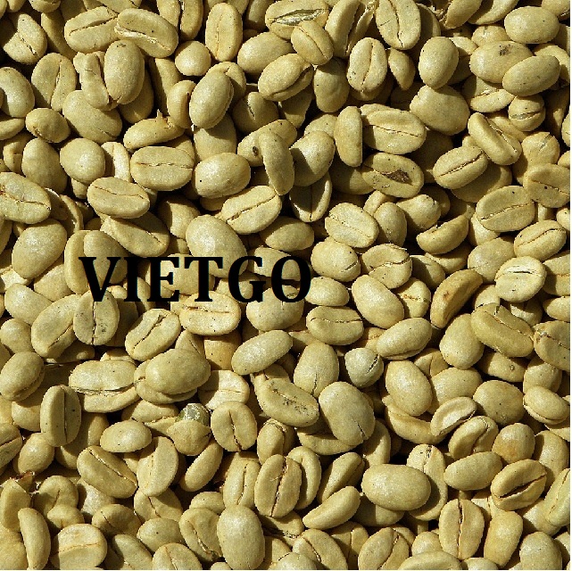 VIETGO-xuat-khau-hat-cafe-xanh-Iran