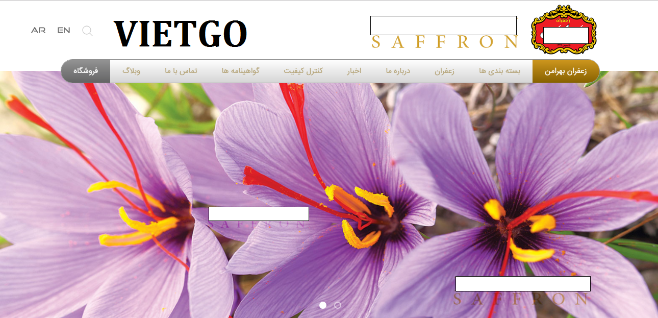 VIETGO-xuat-khau-hat-cafe-xanh-Iran