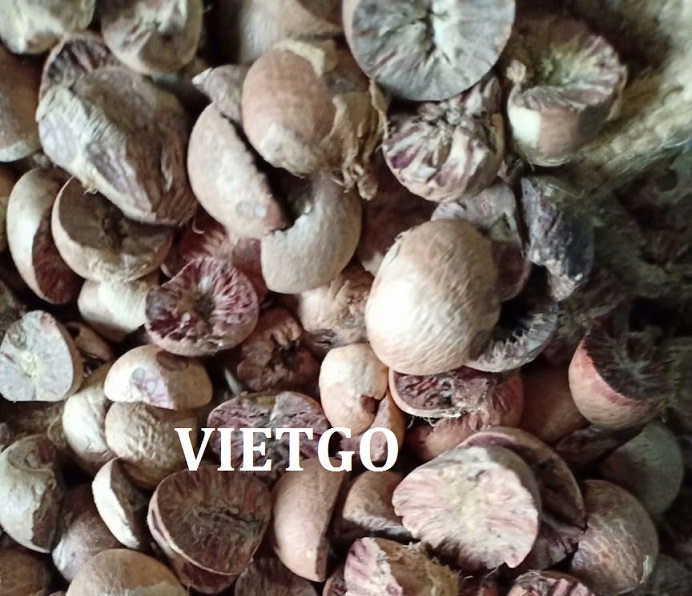 VIETGO-xuat-khau-hat-cau-An-Do-Manish VIETGO-xuat-khau-hat-cau-An-Do-Manish