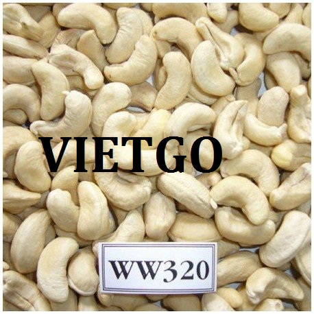 VIETGO-xuat-khau-hat-dieu-An-Do-Pankaj