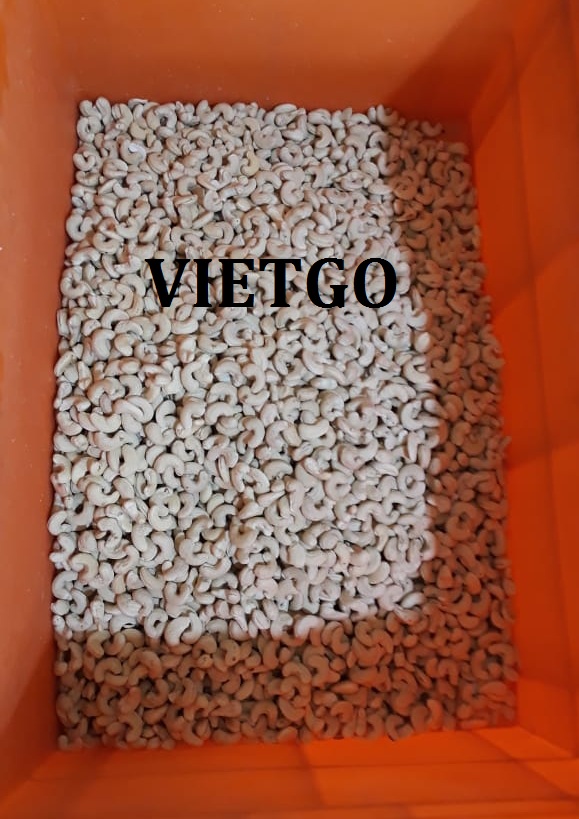 VIETGO-xuat-khau-hat-dieu-An-Do-Rupak