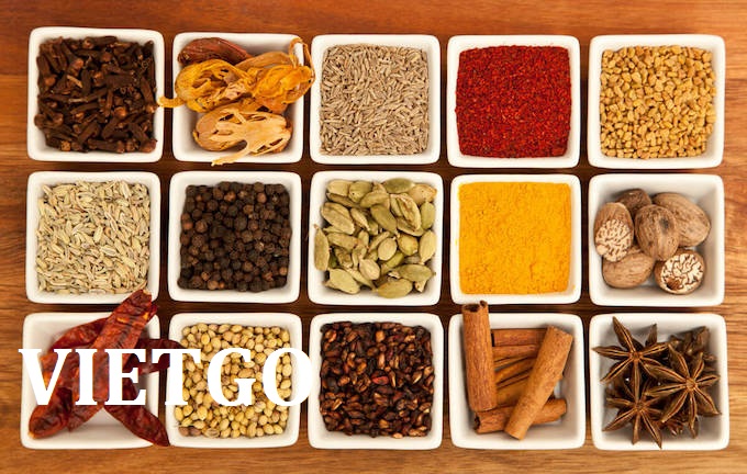 VIETGO-xuat-khau-hat-dieu-An-Do VIETGO-xuat-khau-hat-dieu-An-Do