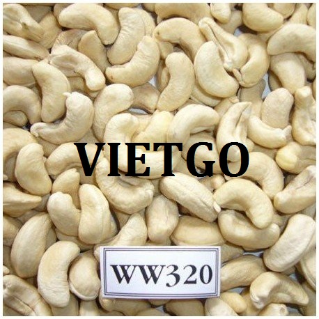 VIETGO-xuat-khau-hat-dieu-Iran