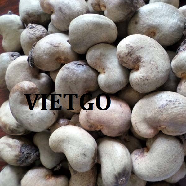 VIETGO-xuat-khau-hat-dieu-Palestine