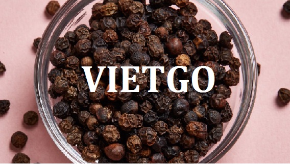 VIETGO-xuat-khau-hat-tieu-dinh-huong-Ai-Cap-Alaa