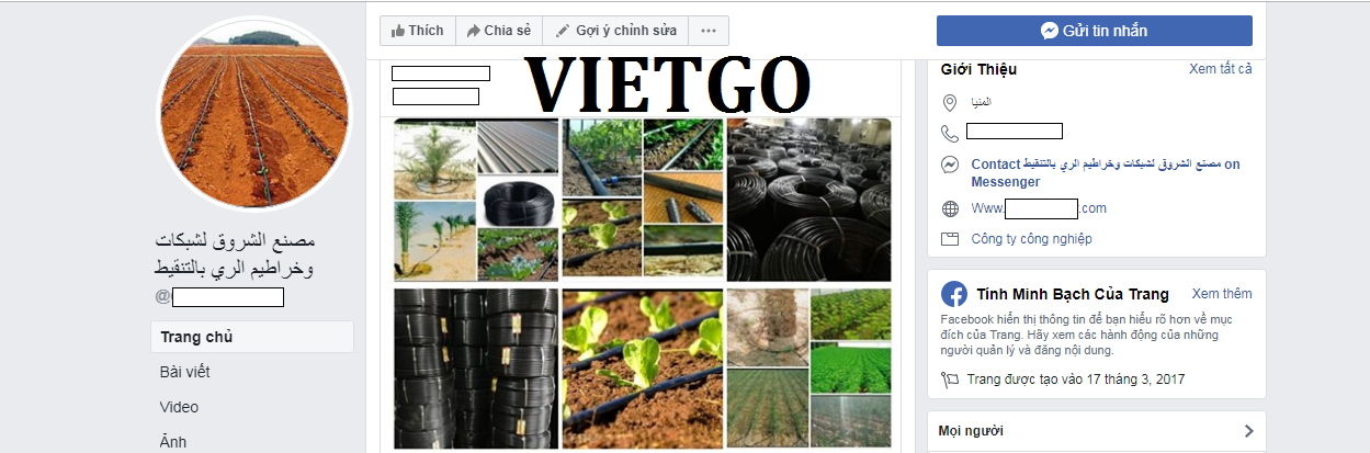 VIETGO-xuat-khau-hat-tieu-dinh-huong-Ai-Cap-Alaa