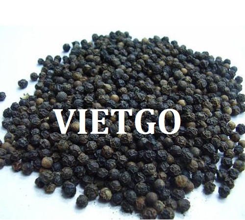 VIETGO-xuat-khau-hạt-tiêu-Senegal-Manish VIETGO-xuat-khau-hạt-tiêu-Senegal-Manish