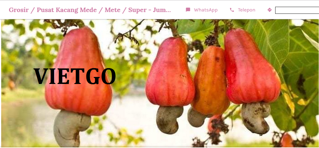 VIETGO-xuat-khau-hạt-điều-Indonesia
