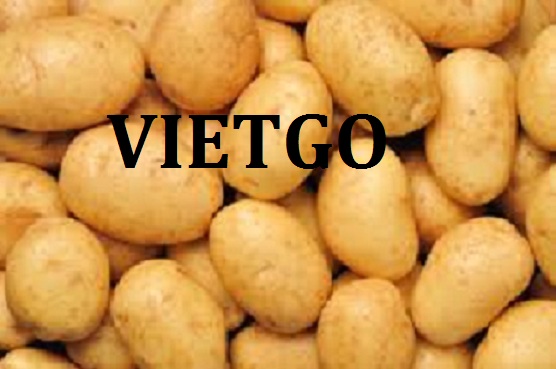 VIETGO-xuat-khau-khoai-tay-Pakistan VIETGO-xuat-khau-khoai-tay-Pakistan