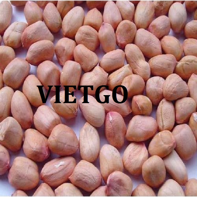 VIETGO-xuat-khau-lac-An-Do-Siddhant