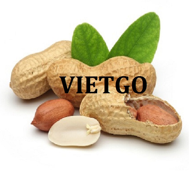VIETGO-xuat-khau-lac-An-Do-Siddhant