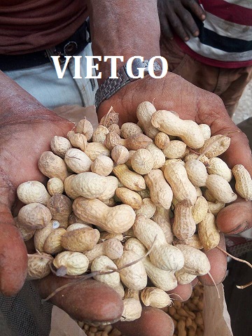 VIETGO-xuat-khau-lac-sang-Yemen-Mamoon