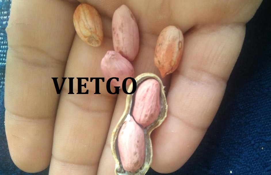 VIETGO-xuat-khau-lac-sang-Yemen-Mamoon
