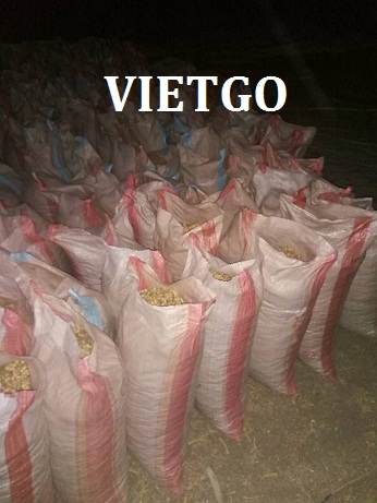 VIETGO-xuat-khau-lac-sang-Yemen-Mamoon