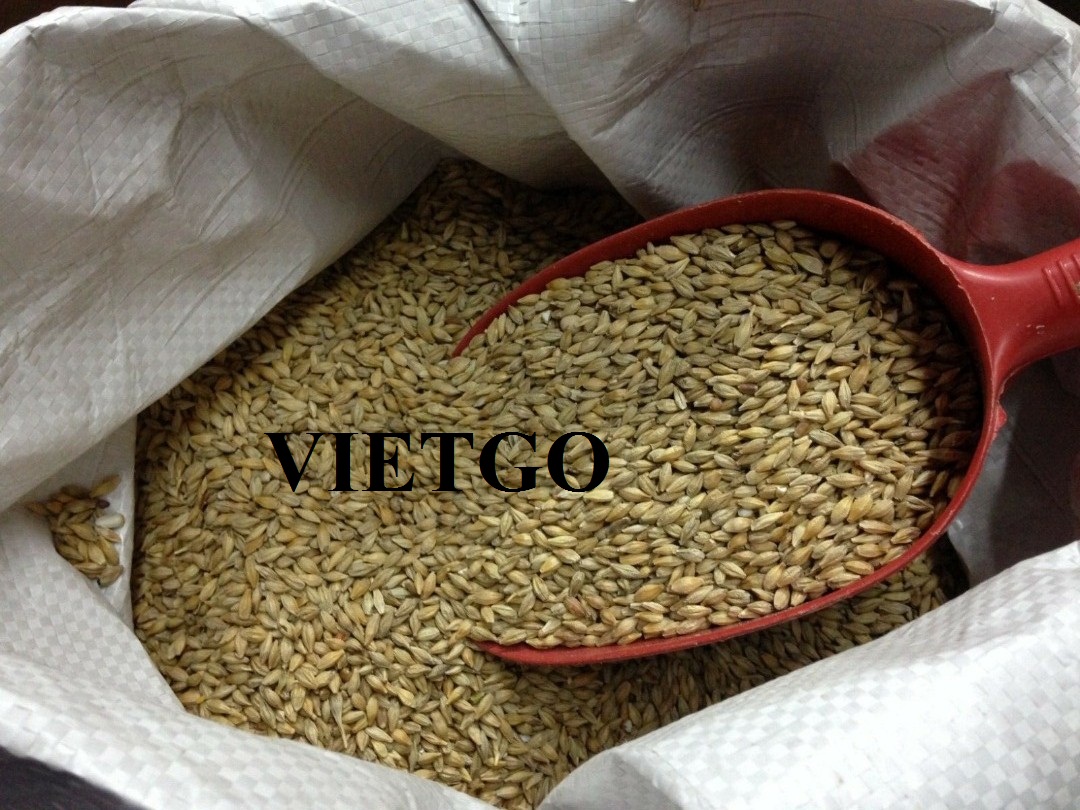 VIETGO-xuat-khau-lua-mach-Han-Quoc